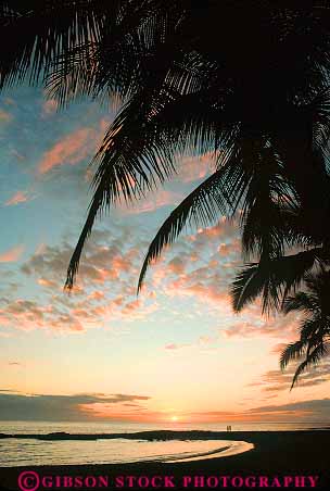 Stock Photo #14949: keywords -  big coast coastal dark destination evening hawaii hawaiian horizon island islands kauai landscape marine maui oahu ocean palm scenery scenic sea seascape seashore shore shoreline sunset sunsets travel tree trees tropic tropical tropics vacation vert warm water