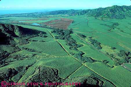 Stock Photo #14961: keywords - aerial aerials agriculture cane crop crops farming farms field fields hawaii hawaiian horz island islands kauai landscape plant plants scenery scenic sugar tropic tropical tropics vegetation