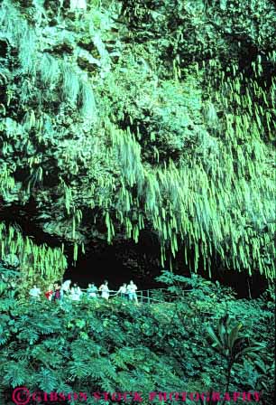Stock Photo #8706: keywords -  attraction cave dark destination fern green grotto habitat hawaii hawaiian island islands kauai lush moist people resort resorts tourist tourists travel tropical usa vacation verdant vert wet