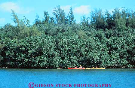 Stock Photo #14973: keywords -  destination freshwater hawaii hawaiian horz island islands kauai kayak kayaker kayakers kayaking kayaks landscape paddle paddling people recreation river rivers scenery scenic sport travel tropic tropical tropics wailua water