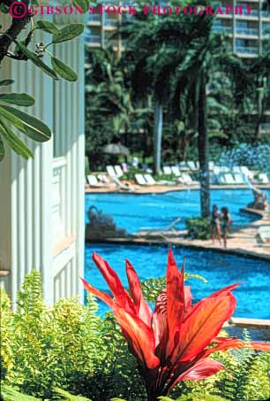 Stock Photo #8711: keywords - abstract abstraction abstracts destination focus foreground hawaii hawaiian hotel island islands kauai lihue marriott pool pools resort resorts soft travel tropical usa vacation vert