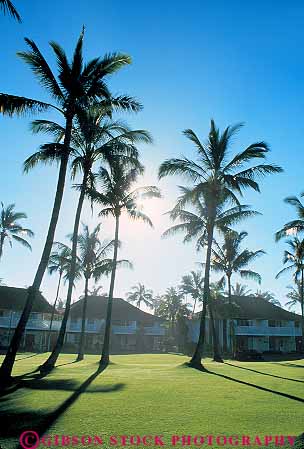 Stock Photo #14978: keywords -  cottages destination guest hawaii hawaiian island islands kauai kiahuna landscape palm plantation resort resorts scenery scenic sun travel tree trees tropic tropical tropics vacation vacationing vacations vert