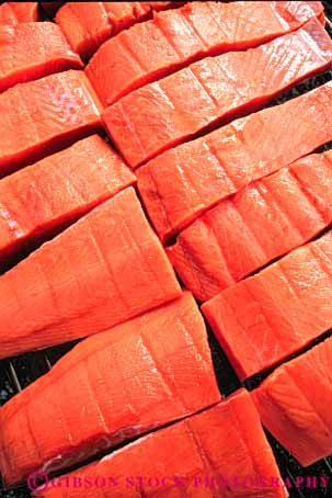 Stock Photo #10446: keywords -  adventure adventures alaska backcountry barbecue bbq cook cooking explore exploring fillet fish food fresh grill grilling juneau landscape lodge lunch meat nature near remote salmon seafood steak steaks taku trip vert wild wilderness