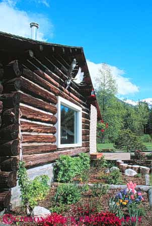 Stock Photo #10448: keywords -  adventure adventures alaska backcountry cabin explore exploring flower garden juneau landscape lodge log nature near remote taku trip vert wild wilderness