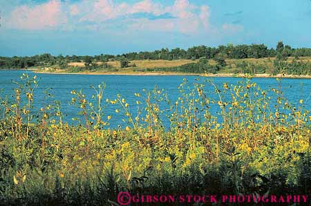 Stock Photo #18048: keywords -  flower great horz kansas lake lakes landscape milford plains region scenery scenic spring state summer water wildflowers