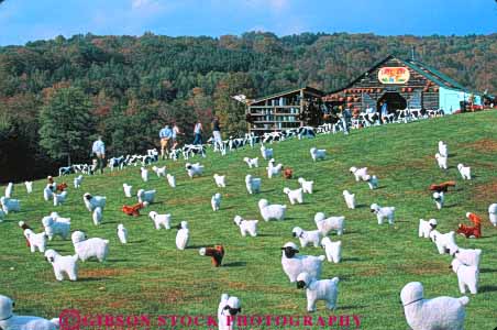 Stock Photo #9325: keywords -  animal animals cute different display displayed england exhibit fool funny grass hill hills horz lawn merchandise new retail rural sale sales sell seller selling sheep store stuffed taftville toy toys unique unusual vermont