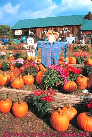 Stock Photo #9326: keywords -  autumn business display displays england fall flower flowers fool harvest hill merchandise new pumpkin pumpkins retail sale sales sell selling store taftville vermont vert