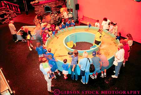 Stock Photo #11866: keywords -  (near america amusement aquarium bloomington business children circle circular covered enclosed fun horz interior life mall malls marine minneapolis minneapolis) minnesota modern near new of park parks people play playing recreation ring round shape shapes shop shoppers shopping shops store stores tank touch underwater world
