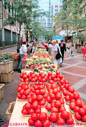 Stock Photo #13684: keywords -  business cities city crop crops downtown farm farmers food fruit fruits mall malls market markets minnesota outdoor outside paul plaza plazas produce sell seller sellers selling sells small st stand stands street temporary tomato tomatos urban vegetable vegetables vendor vendors vert