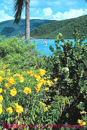 Stock Photo #10188: keywords -  antilles caribbean destination destinations gorda green island islands leeward lesser lush ocean plant plants resort resorts sea sunny sunshine travel tropic tropical tropics vacation vegetation vert virgin warm