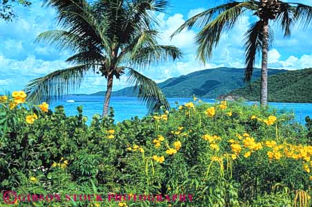 Stock Photo #10193: keywords -  antilles caribbean destination destinations gorda green horz island islands leeward lesser lush ocean plant plants resort resorts sea sunny sunshine travel tropic tropical tropics vacation vegetation virgin warm