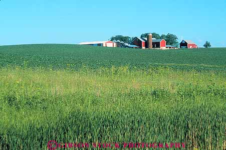Stock Photo #13895: keywords - agriculture anamosa barn barns building buildings farm farming farms field fields great horz iowa landscape plain plains region scenery scenic silo silos
