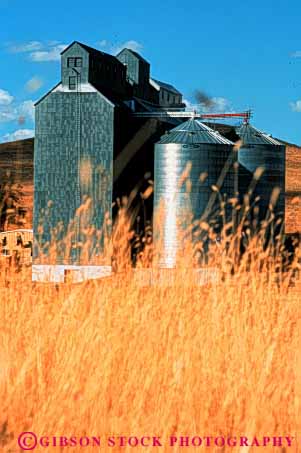 Stock Photo #3304: keywords - agriculture angles angular building buildings dufur elevator elevators farm field geometric grain metal oregon round silo silos steel storage vert wheat