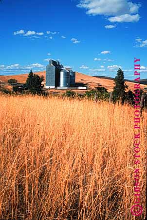 Stock Photo #1266: keywords - agriculture building dufur elevator farm field food grain grow oregon shipping storage sum vert