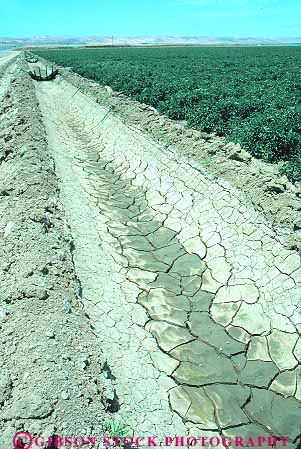 Stock Photo #15636: keywords - agriculture crop crops cultivate cultivated cultivating cultivation ditch ditches dried drought dry farm farming farms field fields flow flowed flowing flows grow growing grown grows irrigate irrigated irrigates irrigating irrigation mud plant plants supplied supplies supply supplying vert water watering