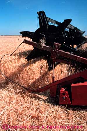 Stock Photo #3301: keywords -  agriculture california combine crop equipment farm food harvest machine rio vert vista wheat