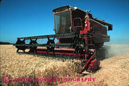 Stock Photo #1273: keywords -  agriculture california crop crops cut dry equipment farm field fields food grain grow harvest harvested harvester harvesters harvesting horz implement in machine rio summer vista wheat