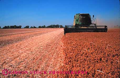 Stock Photo #1274: keywords -  agriculture california colusa crop crops cut dry equipment farm field fields food grow harvest harvested harvester harvesters harvesting horz implement in machine safflower summer working