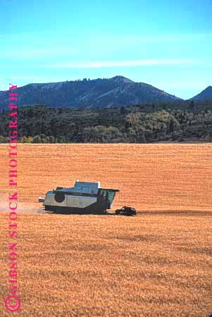 Stock Photo #1276: keywords -  agriculture crop crops cut equipment farm farming farms field food grain grow harvest harvester harvesters harvesting harvests idaho in machine machines summer vert vineyards wheat working