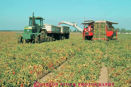 Stock Photo #15657: keywords - agriculture california crop crops equipment farm farming farms field fields fresno harvest harvested harvester harvesters harvesting harvests horz implement implements machine machinery machines processing produce tomato tractor truck