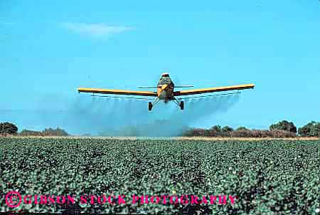 Stock Photo #1291: keywords - agriculture airplane california cotton crop danger dust environment equipment farm field fly grow hazard horz industry job machine pesticide poison pollution risk riverdale spray work