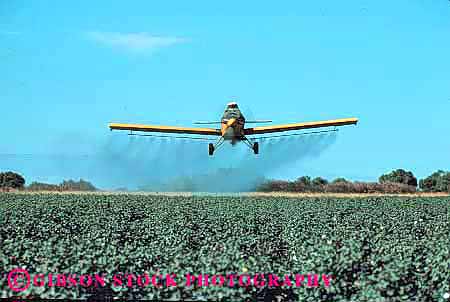 Stock Photo #1291: keywords -  agriculture airplane california cotton crop danger dust environment equipment farm field fly grow hazard horz industry job machine pesticide poison pollution risk riverdale spray work