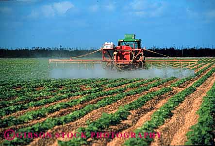 Stock Photo #1293: keywords -  agriculture crop danger dithane environment equipment farm field florida food grow hazard homestead horz industry job machine pesticide poison pollution risk spray squash tractor work