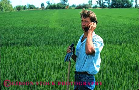Stock Photo #1303: keywords -  agriculture california cell cellular communicate convenient crop employee equipment farm farmer farmers farming farmland field hold holding holds horz in industry job machine man occupation people person phone phones released remote rice technology telephone touch use uses using work worker working