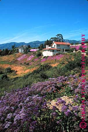Stock Photo #1458: keywords - abode barbara california community country dwelling estate expensive family home homes house investment landscape property quarters real residence residential santa shelter suburb town urban vert