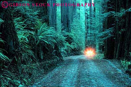 Stock Photo #1491: keywords - alone auto california car dark dawn drive dusk fearful forest horz insecure isolated lights redwood remote road route rural street sunrise sunset vehicle