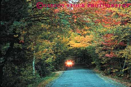 Stock Photo #1493: keywords -  alone auto autumn car dark dawn drive dusk fearful forest hampshire horz insecure isolated lights new r remote road rural street sunrise sunset vehicle