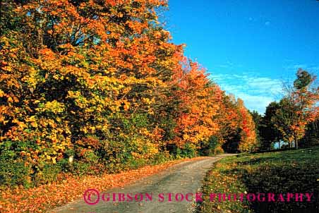 Stock Photo #1506: keywords -  autumn country countryside fall foliage horz landscape orange remote road route rural scenic street vermont