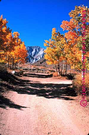Stock Photo #1509: keywords -  aspen autumn california convict lake road route scenic vert
