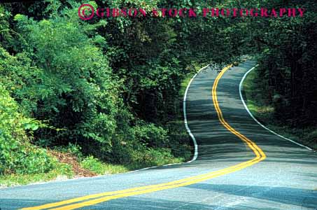 Stock Photo #1513: keywords -  closeup country countryside curve foliage horz in landscape maryland remote road route rural scenic street stripe trees