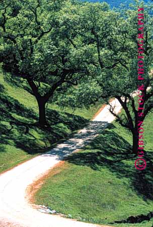 Stock Photo #1517: keywords - california country countryside curve dirt farm foliage green hill landscape path ranch remote road rough route rural scenic vert