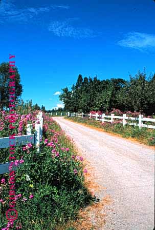 Stock Photo #1518: keywords -  california country countryside curve dirt farm flowers foliage landscape path ranch remote road route rural scenic vert