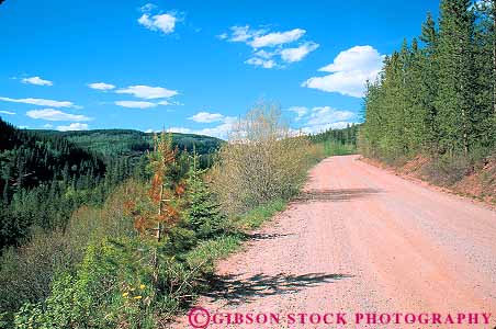 Stock Photo #12579: keywords - alone backcountry backroad backroads colorado dirt empty forest gravel hidden horz isolate isolated landscape lonely lost mountain mountains remote road roads rural scenery scenic street streets vail wander wandering wilderness