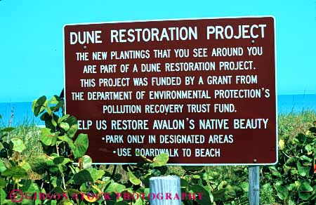 Stock Photo #6053: keywords -  advertise avalon beach brown communicate communicated communicating communication conserve display dune ecology florida habitat horz information informative informed informing nature plant plants preserve project protect protected protection public recover recovery restoration restore restored restoring sand sign value word words