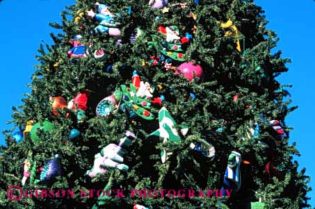 Stock Photo #1731: keywords -  celebrate christmas colorful decorate holiday horz ornament outdoor tree