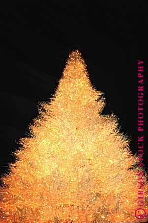 Stock Photo #1734: keywords -  celebrate christmas decorate holiday lights tree vert white