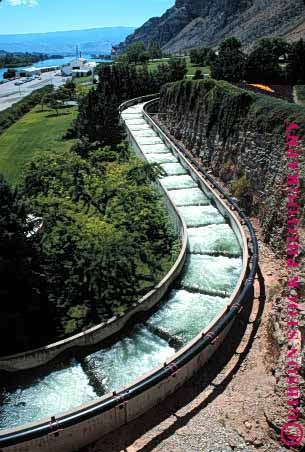 Stock Photo #1782: keywords - breed dam fish flow ladder mitigation reach rocky salmon swim upstream vert washington water