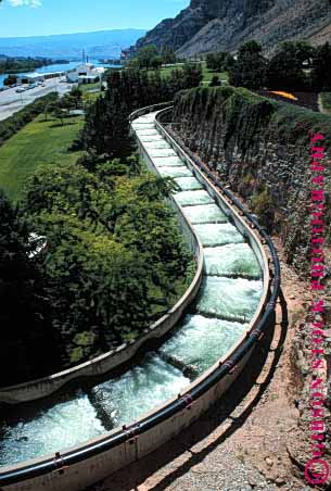 Stock Photo #1782: keywords -  breed dam fish flow ladder mitigation reach rocky salmon swim upstream vert washington water