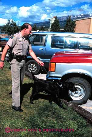 Stock Photo #1844: keywords -  car contraband dog drug income job model occupation policeman public released search service sniff summer uniform vehicle vert work