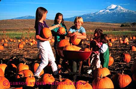 Stock Photo #1893: keywords -  autumn california children cute fall girls group halloween horz model mount pick play pumpkins released shasta together