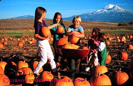 Stock Photo #1893: keywords - autumn california children cute fall girls group halloween horz model mount pick play pumpkins released shasta together