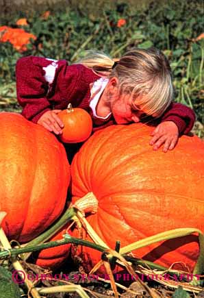 Stock Photo #1945: keywords -  agriculture autumn big crop fall girl halloween hug huge kiss model orange outdoor pumpkins released vert