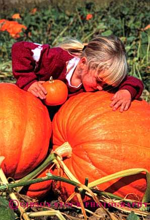 Stock Photo #1945: keywords -  agriculture autumn big crop fall girl halloween hug huge kiss model orange outdoor pumpkins released vert