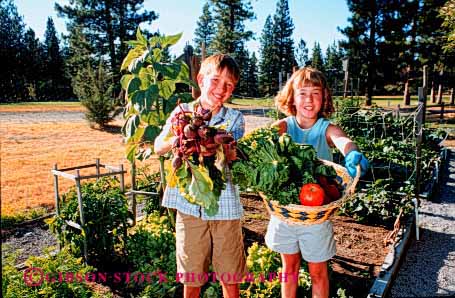 Stock Photo #1962: keywords -  agriculture beet boy brother children couple food garden girl grow harvest home horz lettuce model released sister team tomato
