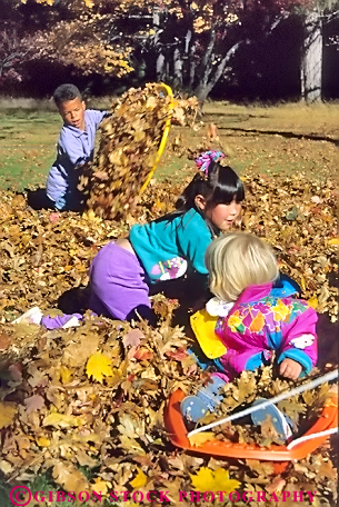 Stock Photo #1978: keywords -  african american autumn black ethnic fall friend girls group leaves mix model outdoor play recreation released share social vert