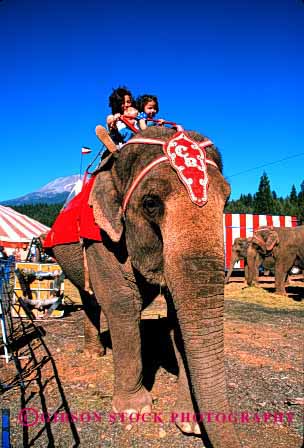 Stock Photo #2000: keywords -  animal child children circus elephant girl happy not released ride show vert